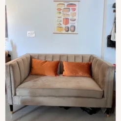 World Market Tufted Velvet Loveseat Couch