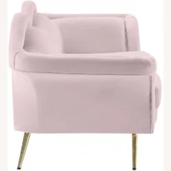 Other Modern Loveseat In Pink Velvet Lip-Shaped Finish - 1500 1500 frame 0 1472